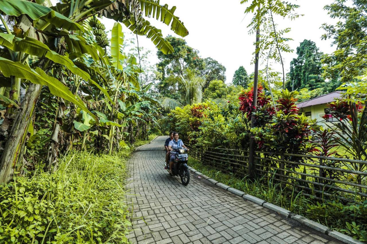 The Village Bunaken Luaran gambar